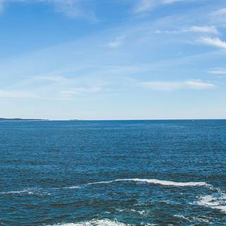 Nature summer mobile wallpaper