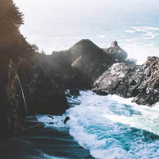 Nature summer mobile wallpaper