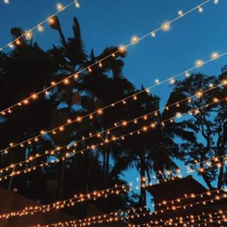 Summer party lights wallpaper