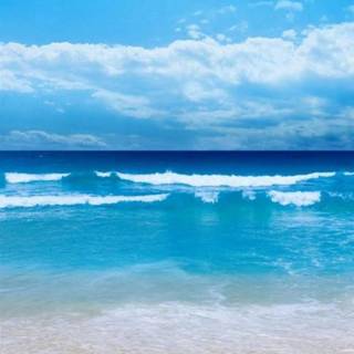 Nature summer mobile wallpaper