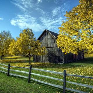 Country springtime wallpaper