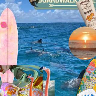 Tropic summer wallpaper