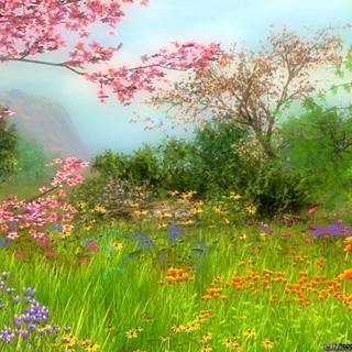 Country springtime wallpaper