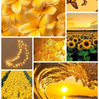 Spring aesthetic yellow wallpaper