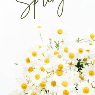 Spring aesthetic yellow wallpaper