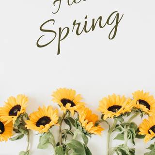 Spring aesthetic yellow wallpaper