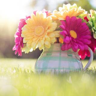 Country springtime wallpaper