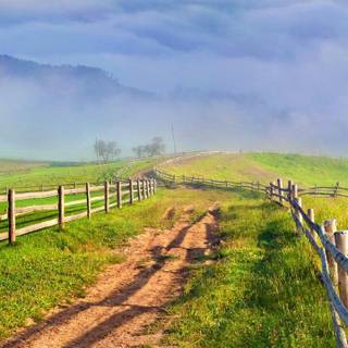 Country springtime wallpaper