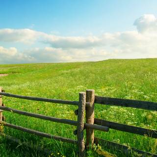 Country springtime wallpaper