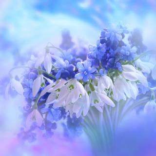Spring flowers blue wallpaper