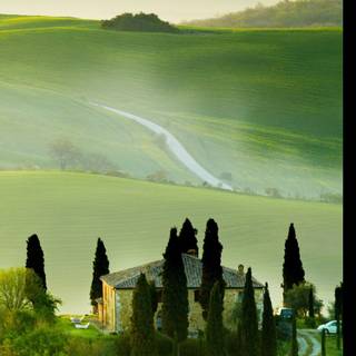 Nature summer mobile wallpaper