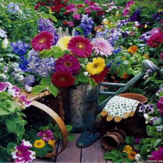 Country springtime wallpaper