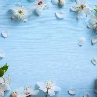 Spring flowers blue wallpaper