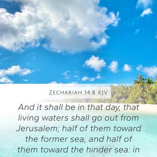 Summer Bible wallpaper