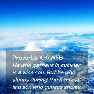 Summer Bible wallpaper