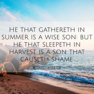 Summer Bible wallpaper