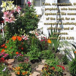 Summer Bible wallpaper