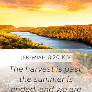 Summer Bible wallpaper