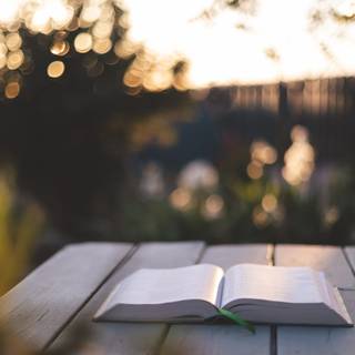 Summer Bible wallpaper