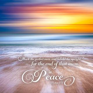 Summer Bible verses laptop wallpaper