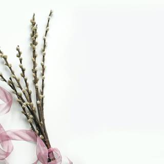 Minimal spring 4k wallpaper