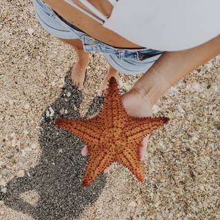 Summer portrait 4k wallpaper