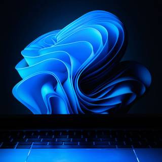 Windows 2023 PC wallpaper