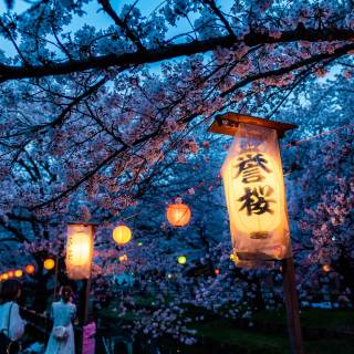Japanese summer festival night wallpaper