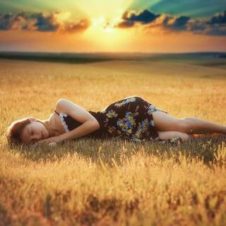 Grass field sunset summer wallpaper