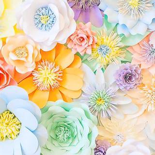 iPhone 14 spring flowers wallpaper