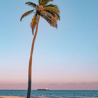 Summer 4k mobile wallpaper