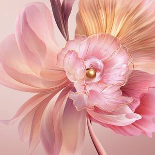 iPhone 14 spring flowers wallpaper