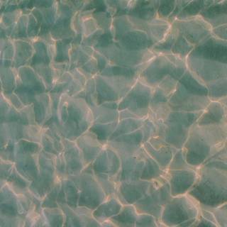 Summer simple aesthetic wallpaper