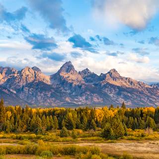 Spring Teton National Park wallpaper
