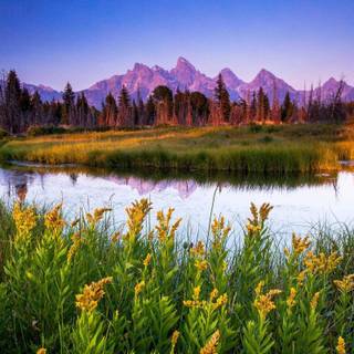 Spring Teton National Park wallpaper