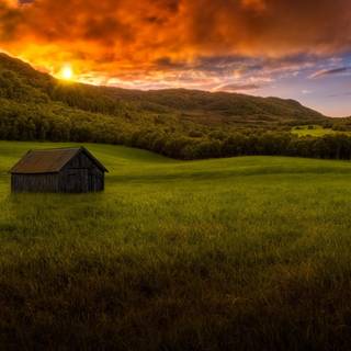 Grass field sunset summer wallpaper