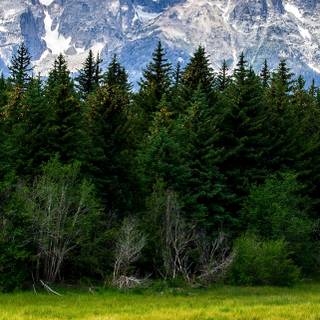 Spring Teton National Park wallpaper