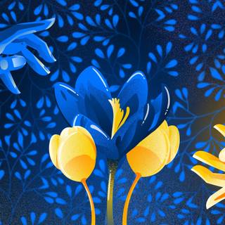 Spring anime PC wallpaper