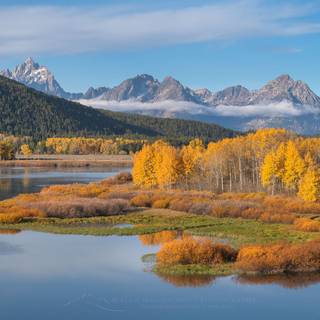 Spring Teton National Park wallpaper