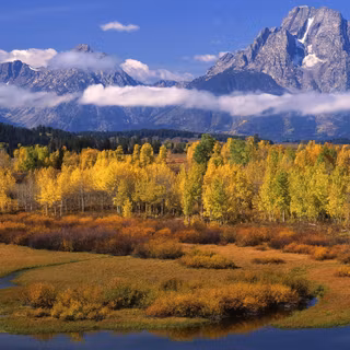 Spring Teton National Park wallpaper