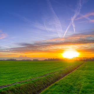 Grass field sunset summer wallpaper