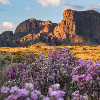 Spring Teton National Park wallpaper