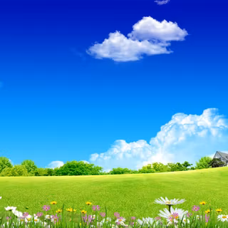 Clean spring wallpaper