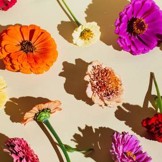 Clean spring wallpaper