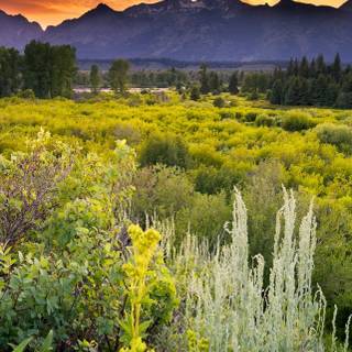 Spring Teton National Park wallpaper