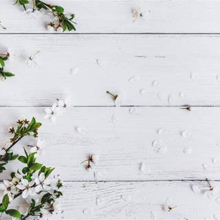 Clean spring wallpaper