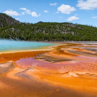 Spring Teton National Park wallpaper