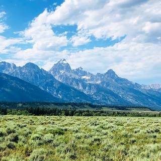 Spring Teton National Park wallpaper