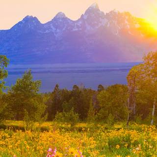 Spring Teton National Park wallpaper