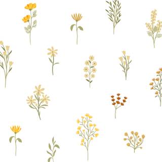 Clean spring wallpaper